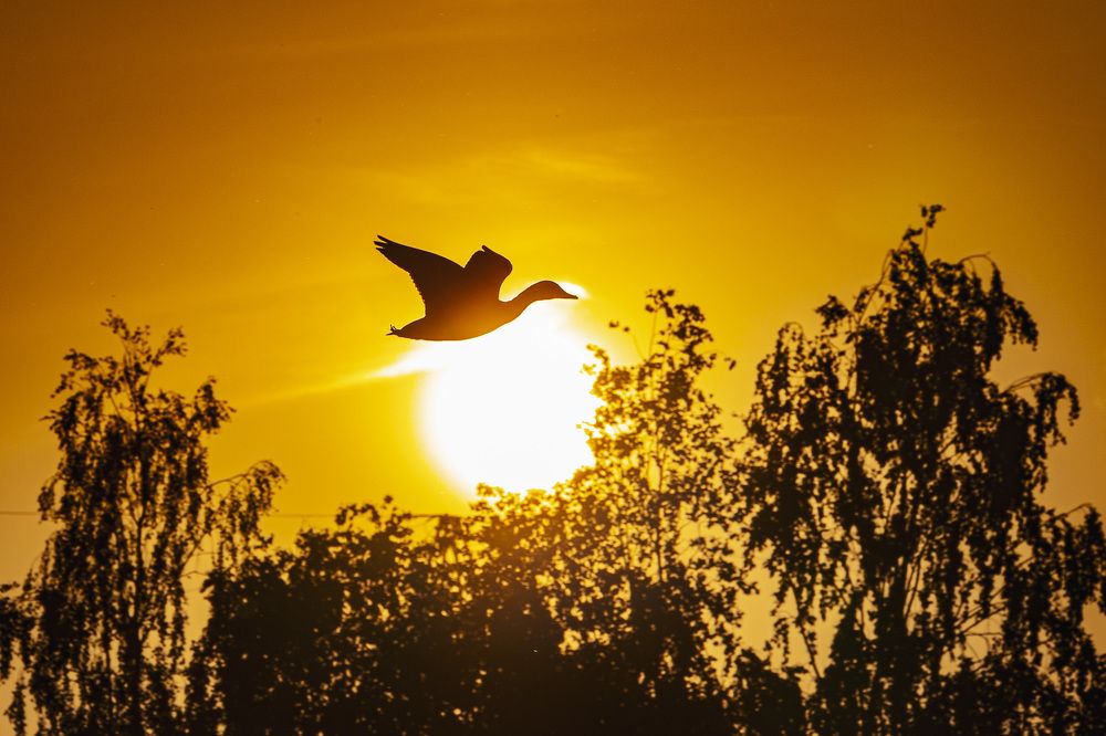 Фотография автора Каргин Валерий