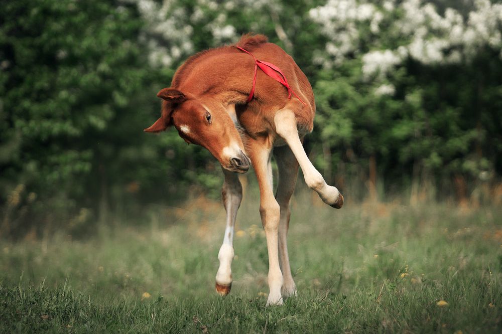 Photograph by Дарья Ералева