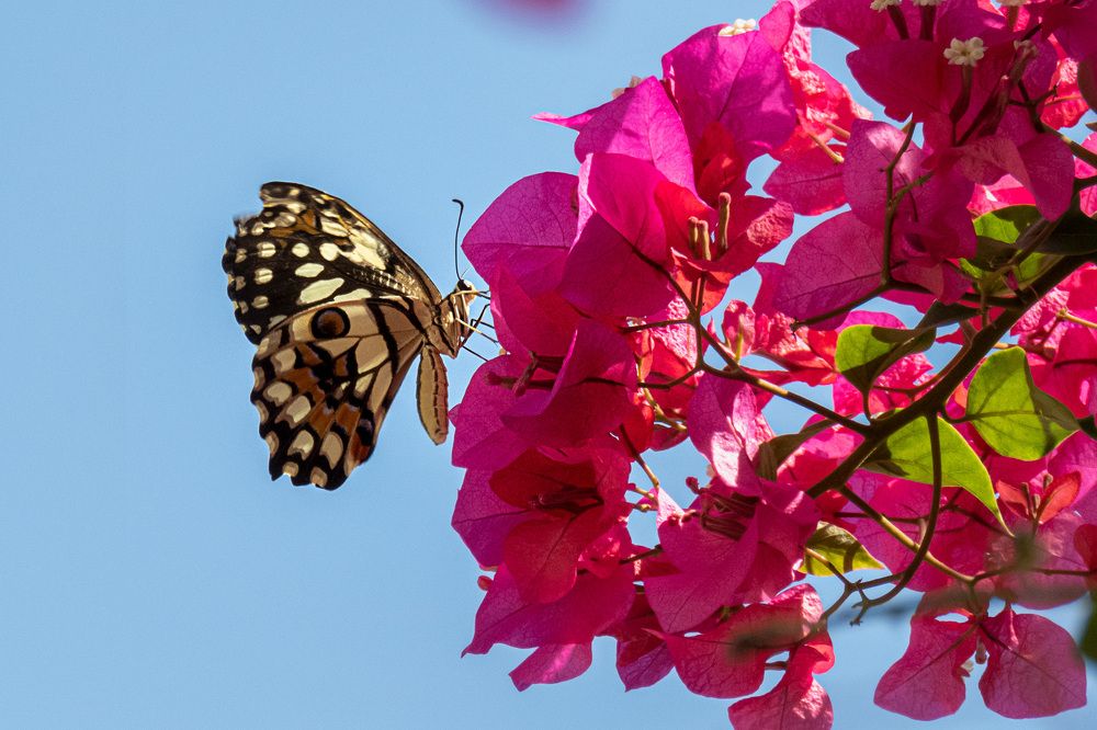 Photograph by sadegh alavi