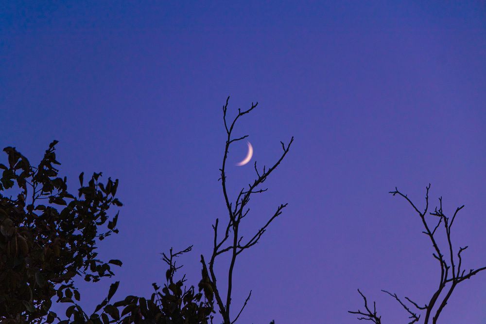 Photograph by sadegh alavi