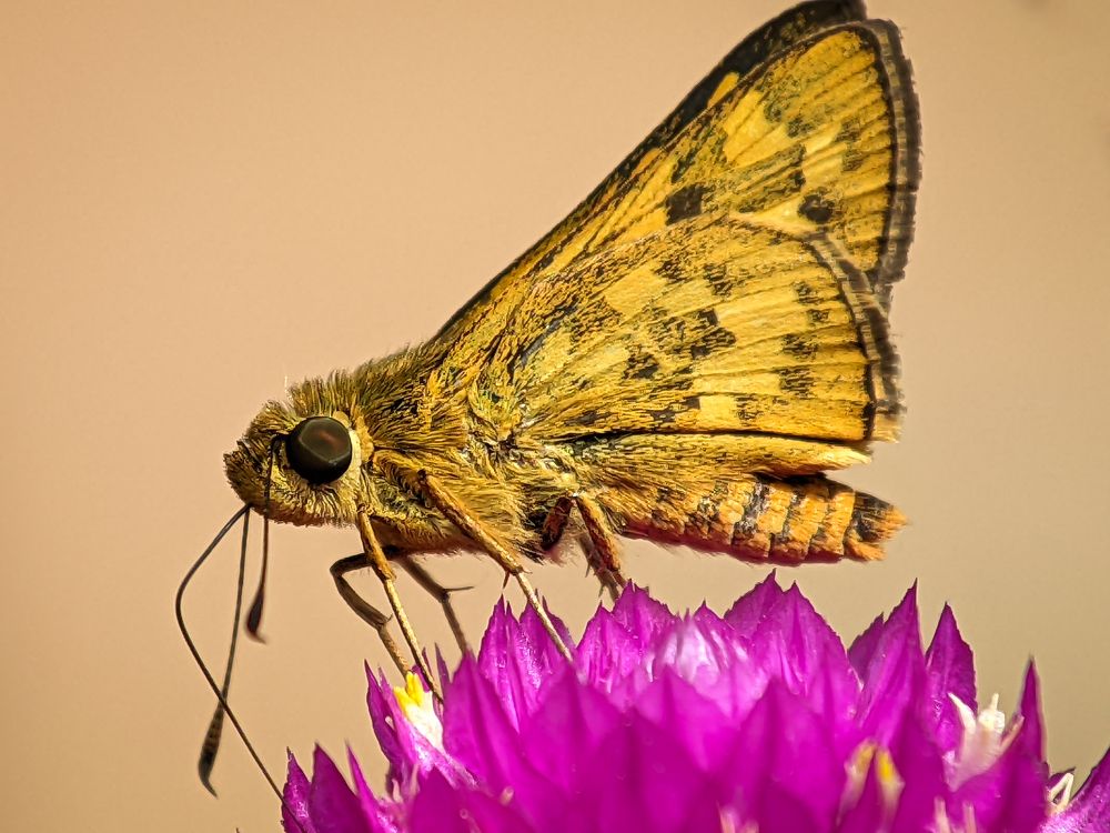 Photograph by Shahrul_Laili