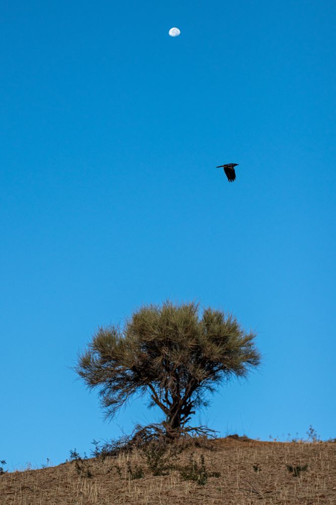 Photograph by sadegh alavi