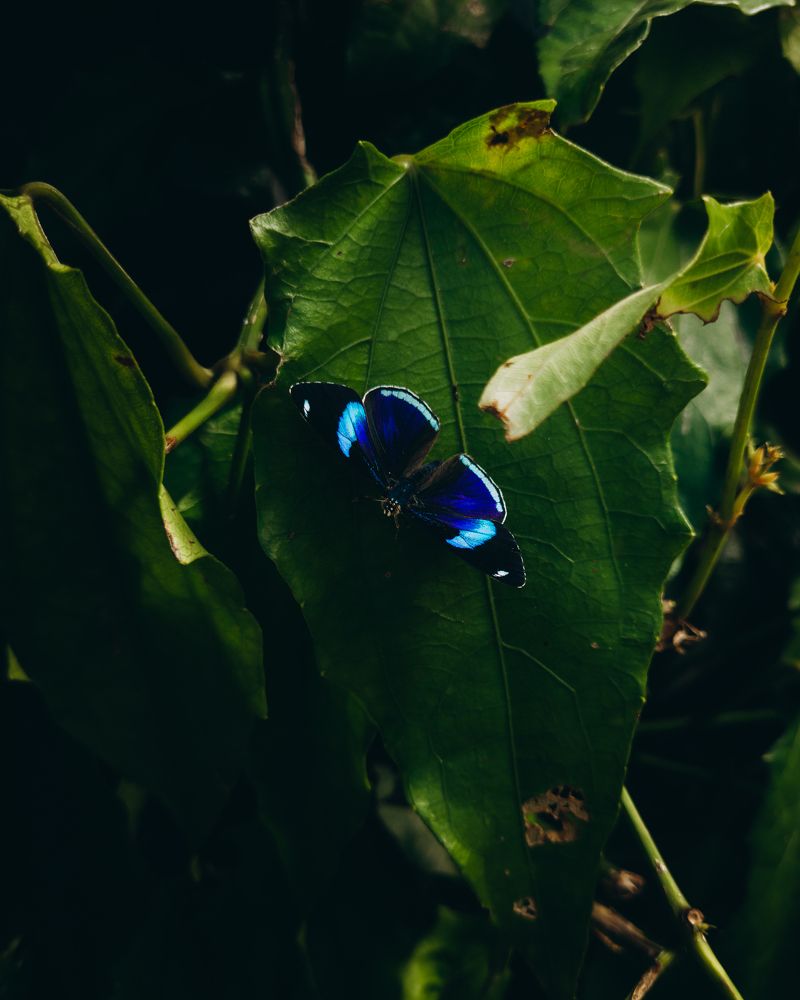 Photograph by Allan Carvalho