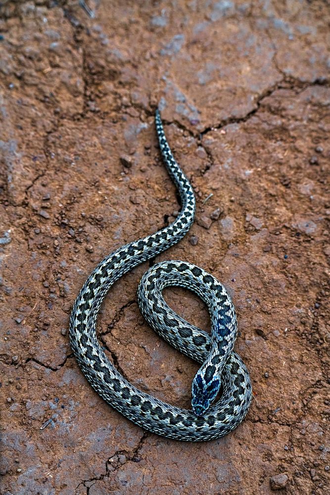 Photograph by Полякова Наталия