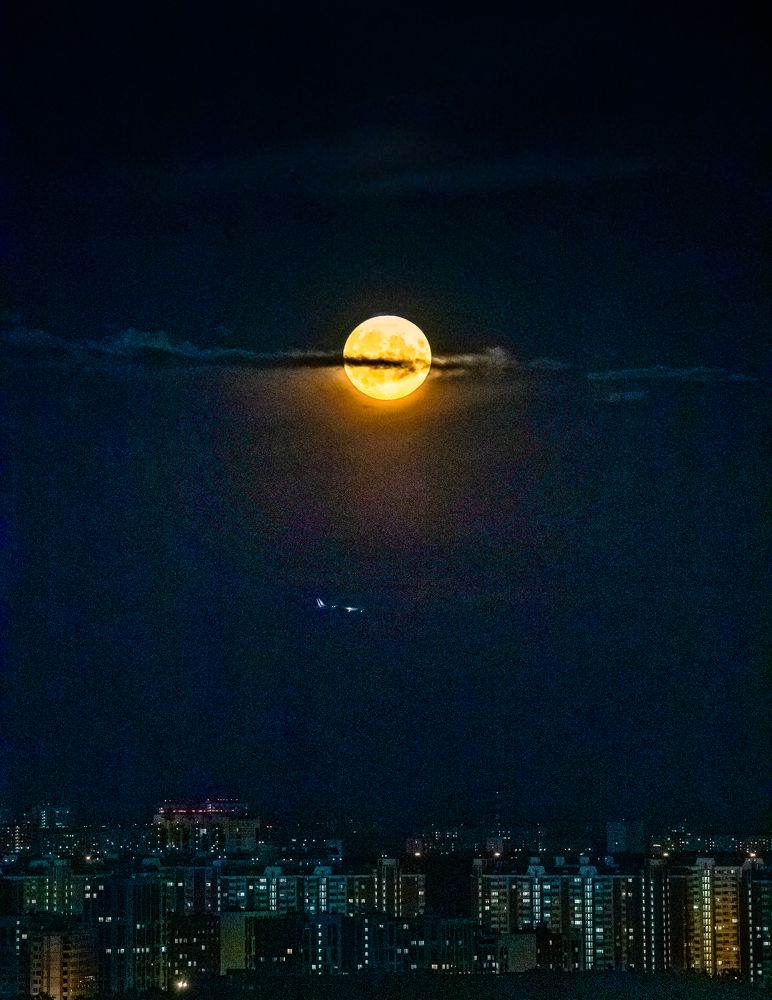 Photograph by Евгения Демина