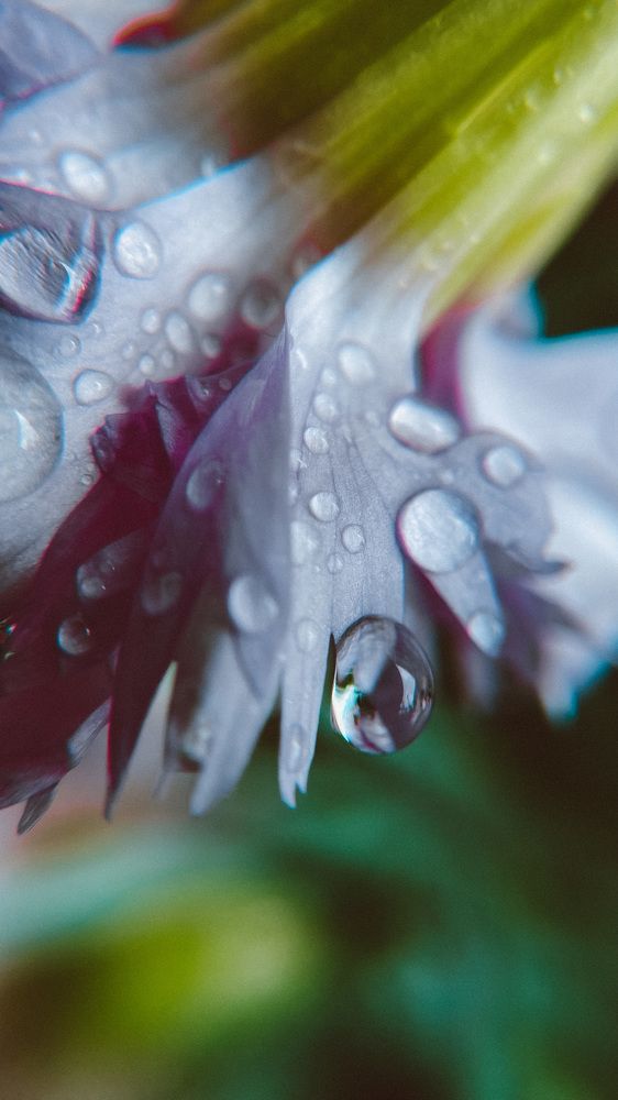 Photograph by Ольга Белостоцкая