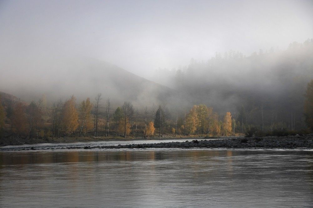 Неяркая осень