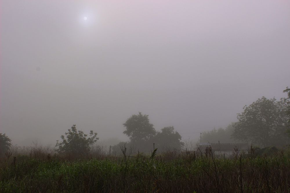 Photograph by Ирина Дмитриенко