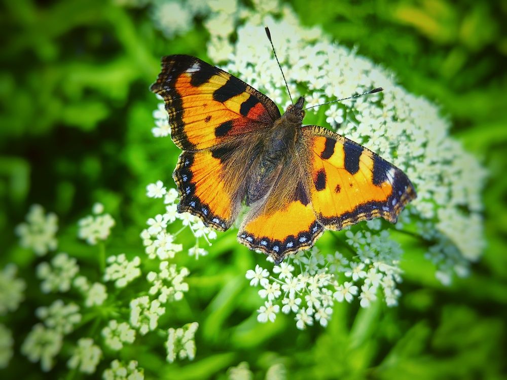 Photograph by Ekaterina Fadeeva