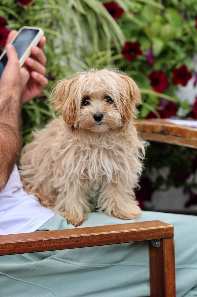 Photograph by Мария Поливода