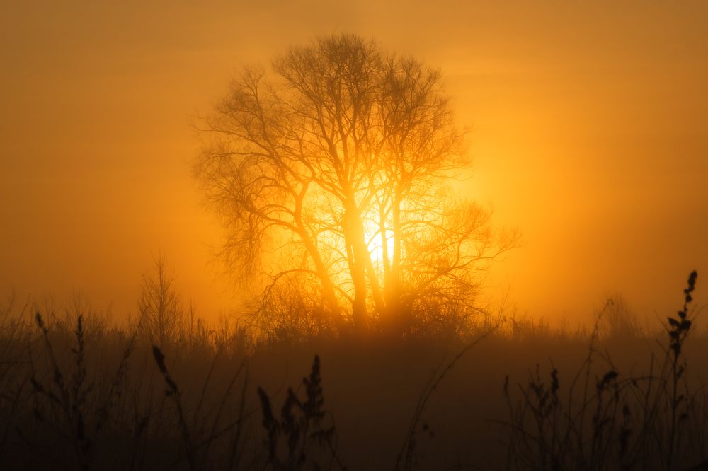 Photograph by Екатерина Дубровская