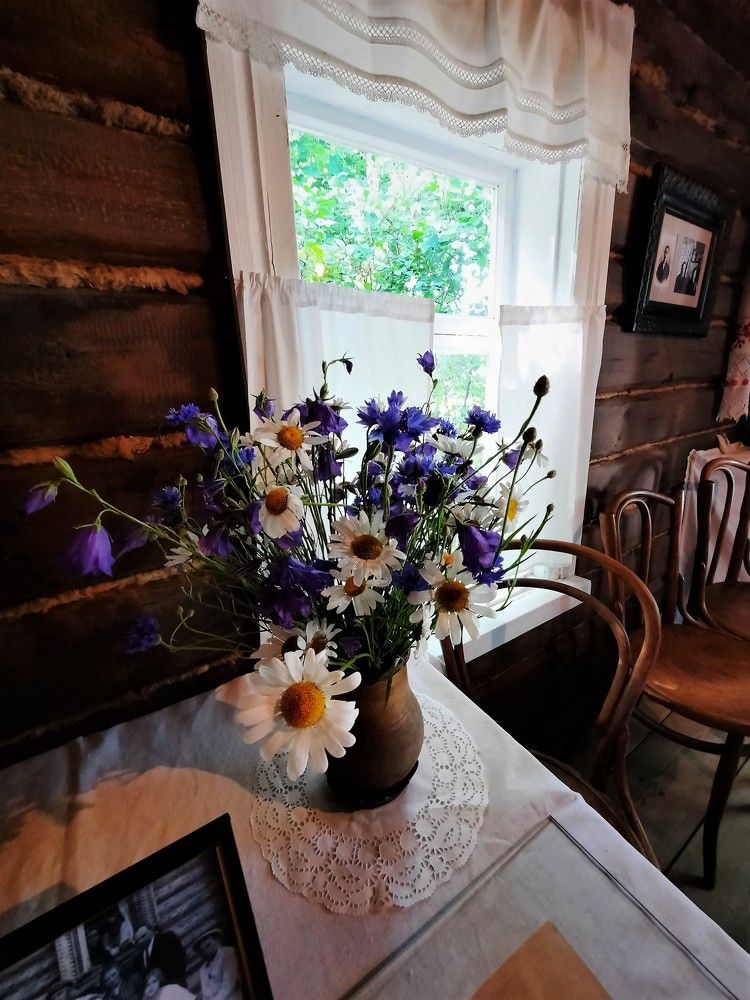 Фотография автора Елена Пикатова