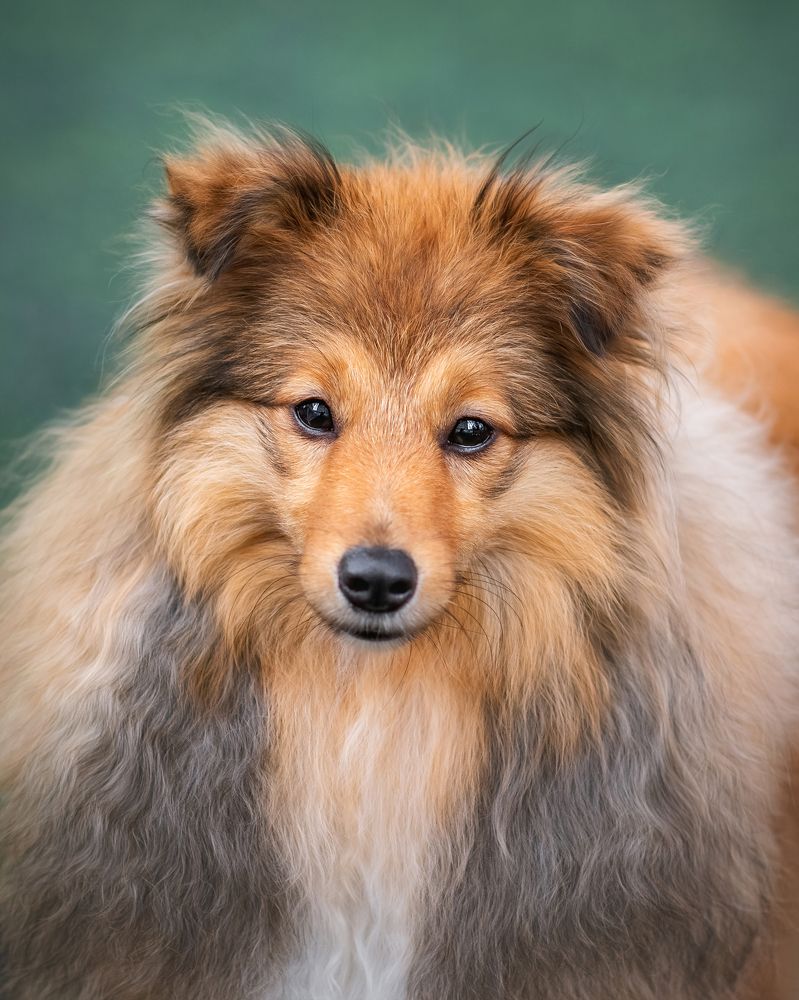 Photograph by Наталья Орел