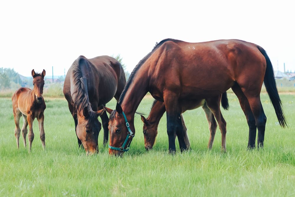 Photograph by Yulia Orina