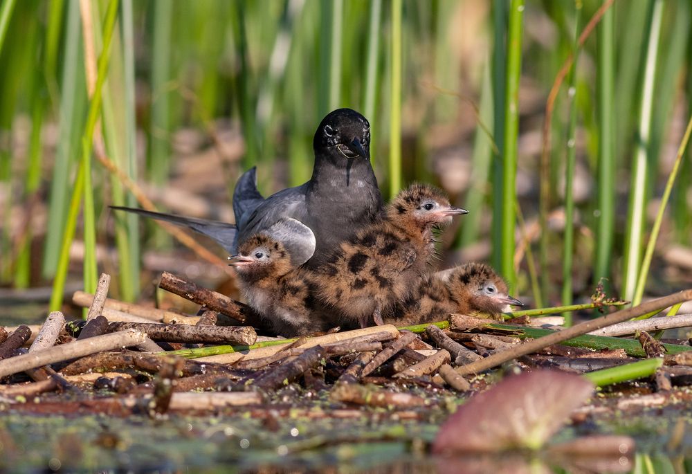 Photograph by Павел Краснослободцев