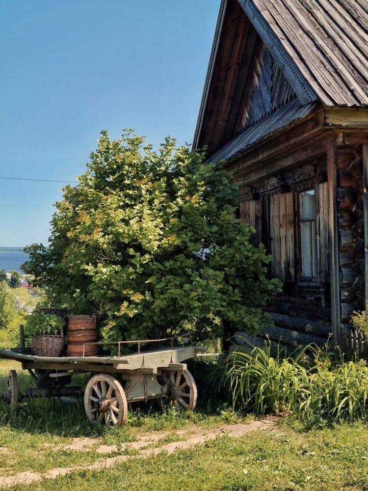 Photograph by Людмила Григорьева