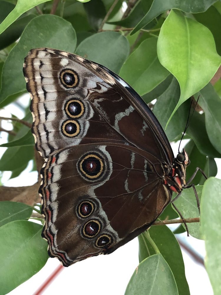 Фотография автора Евгения Елисеева
