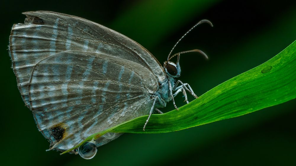 Photograph by Venkat Mangudi