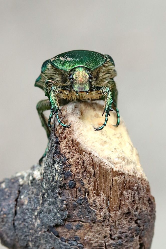 Photograph by Игорь Осипов