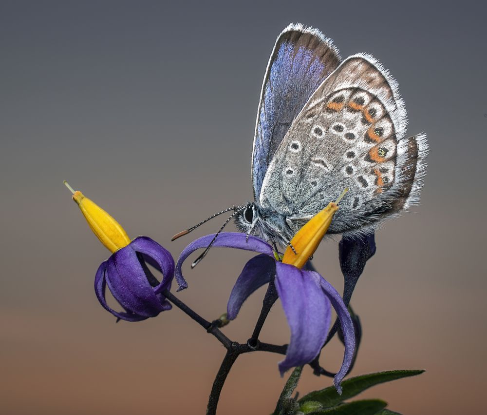 Photograph by Людмила Железнова