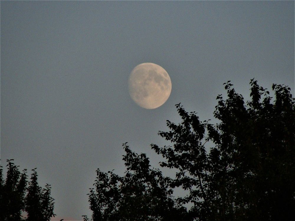 Photograph by Николай Худяков