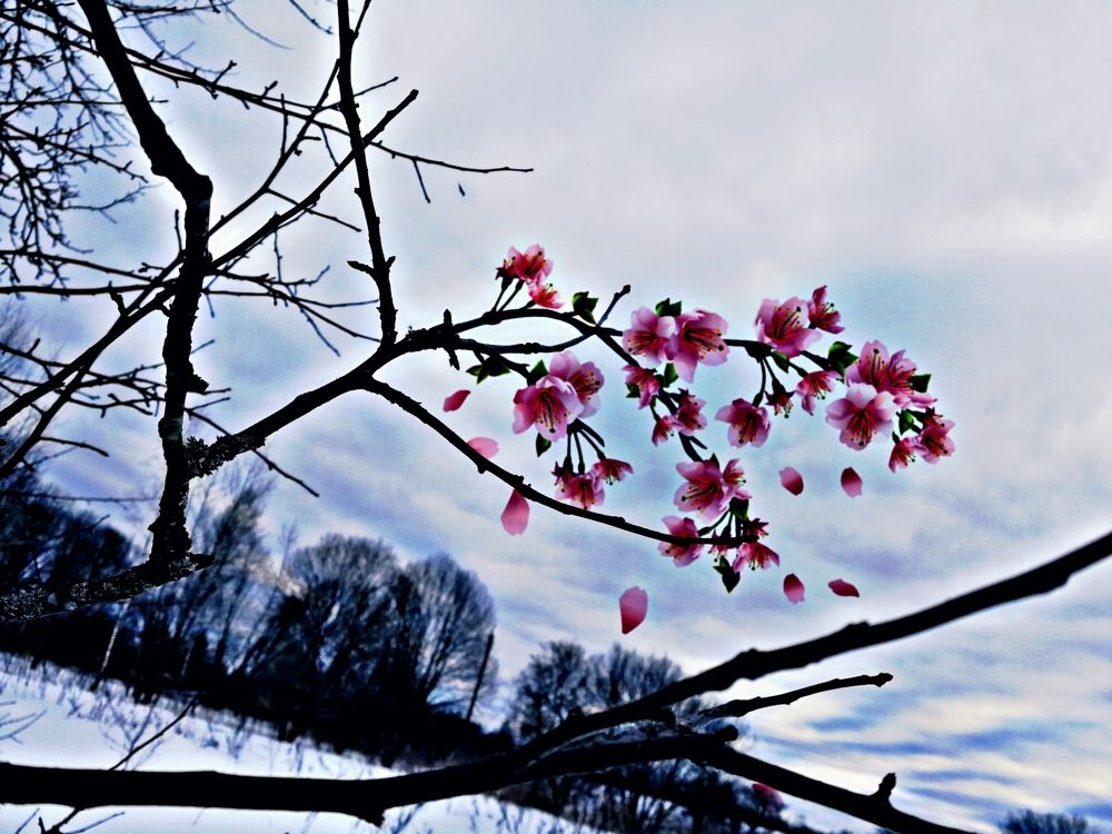 Photograph by Дарья Ермакова