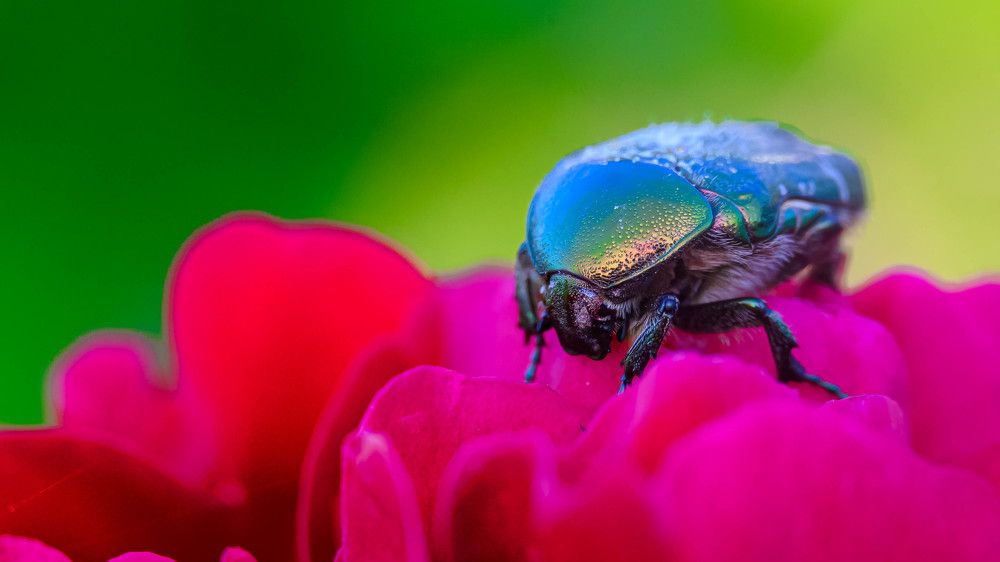 Photograph by Андрей Серга