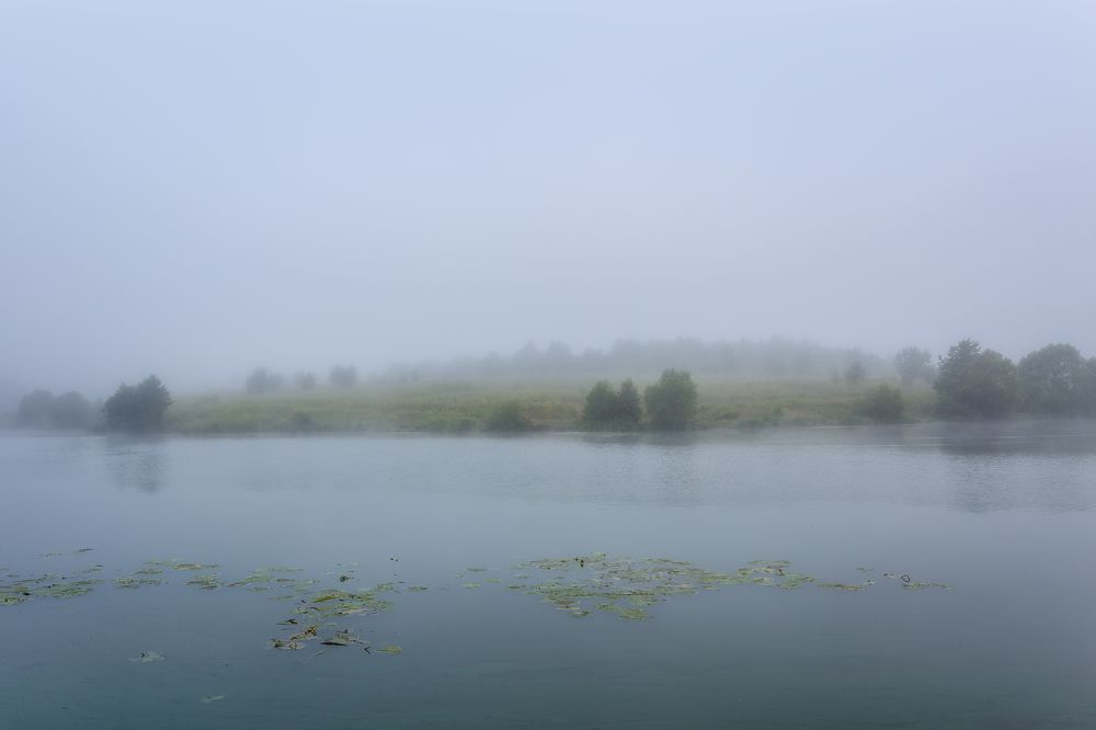 Фотография автора Мартыненко Дмитрий