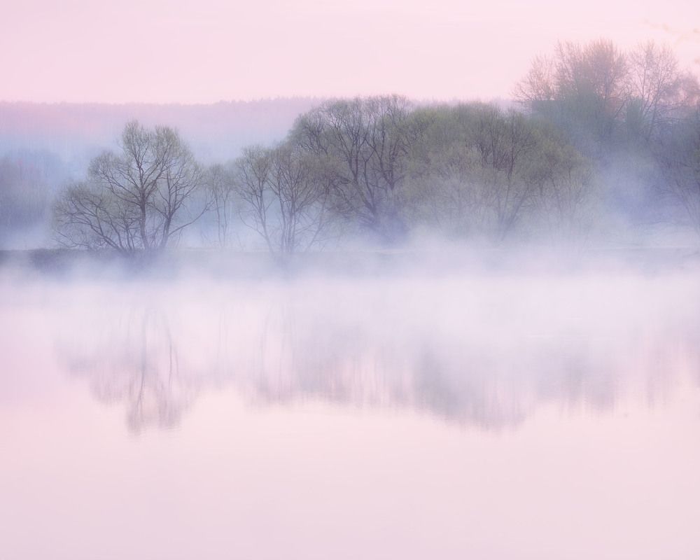 Фотография автора Мартыненко Дмитрий