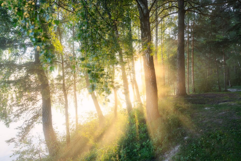 Фотография автора Мартыненко Дмитрий