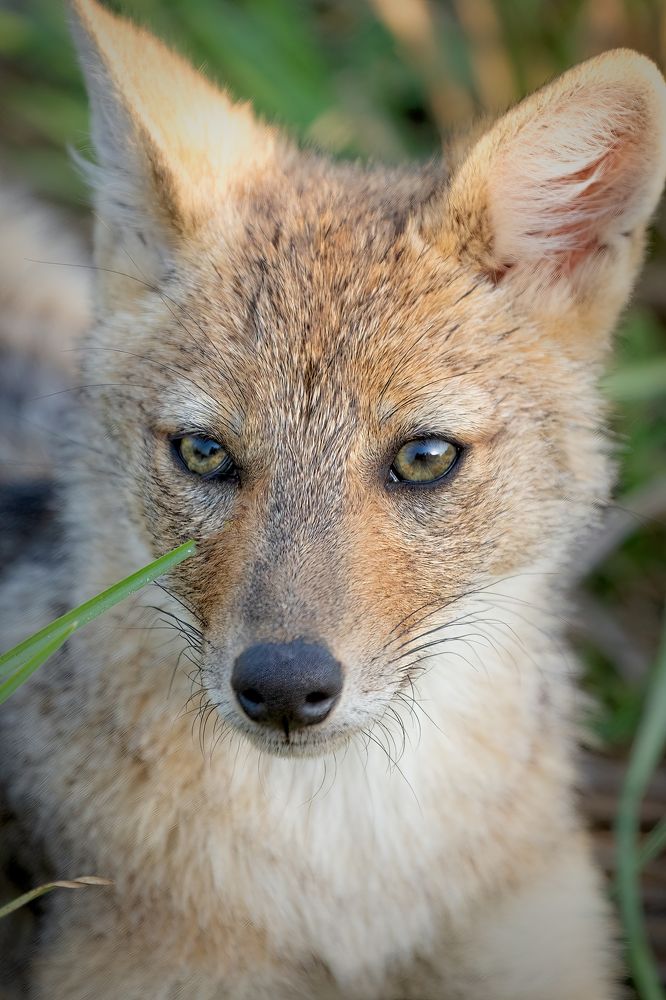 Photograph by Aniket Karane