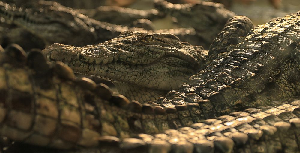 Photograph by Замятин Александр