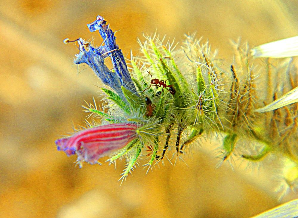 Photograph by Сергей Рапопорт