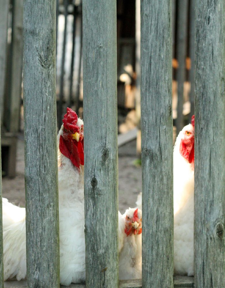 Photograph by Майя