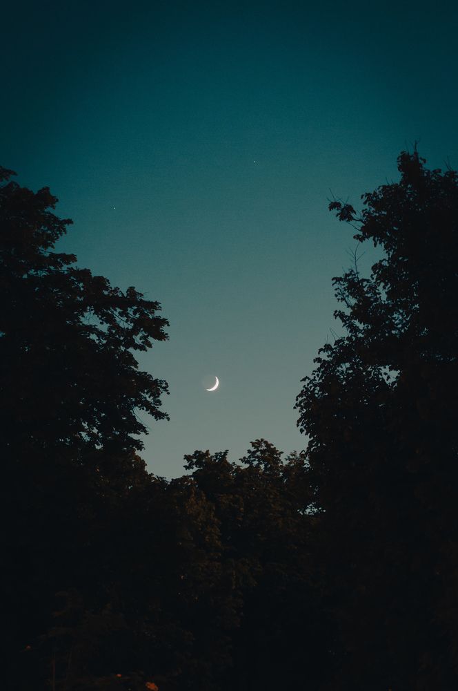 Фотография автора Геннадий Ломеко