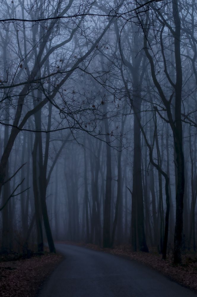 Photograph by Татьяна Светличная