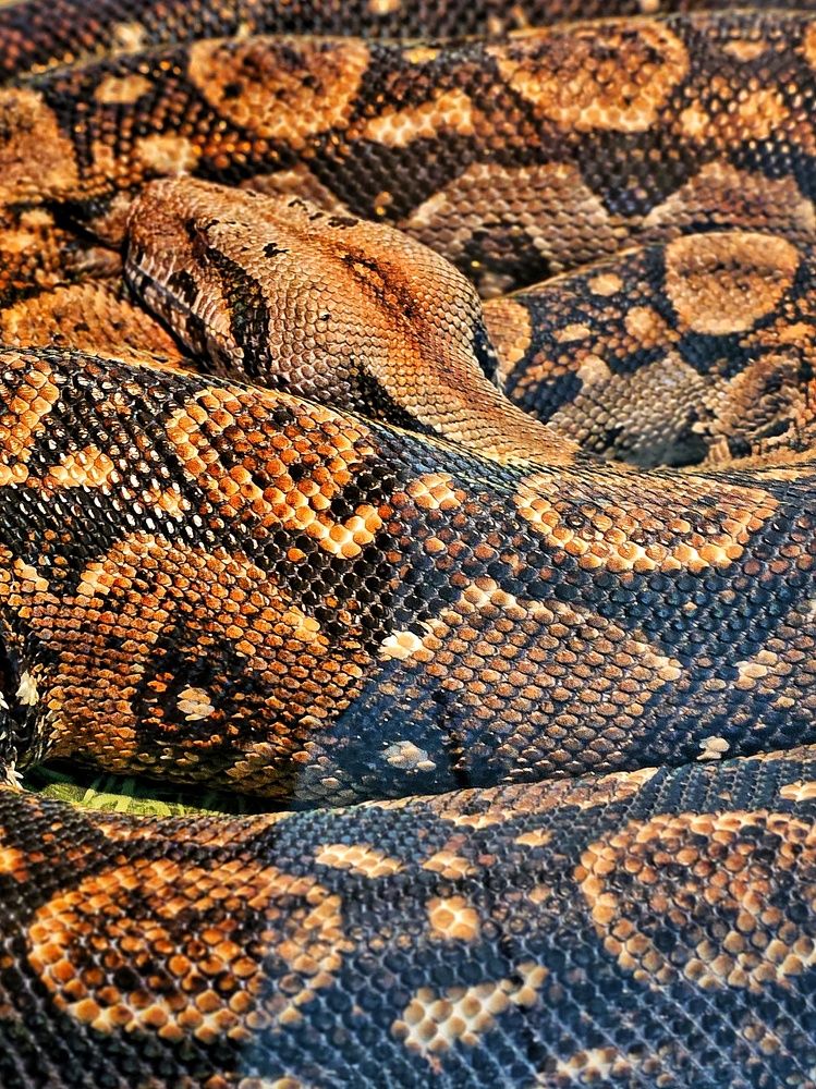 Photograph by Ирина Лучинская