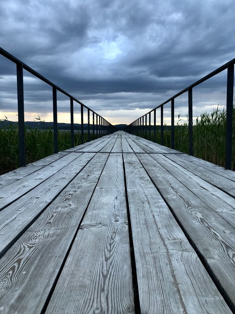 Фотография автора Евгения Елисеева