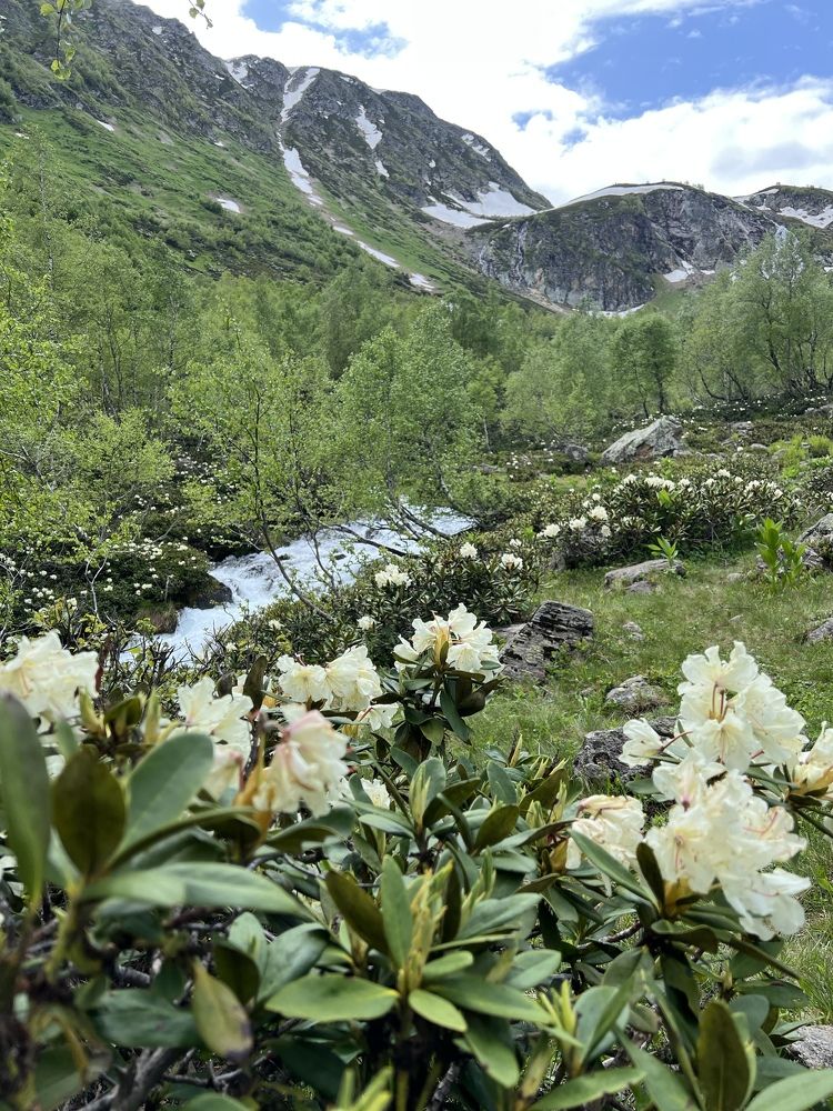 Photograph by Лариса