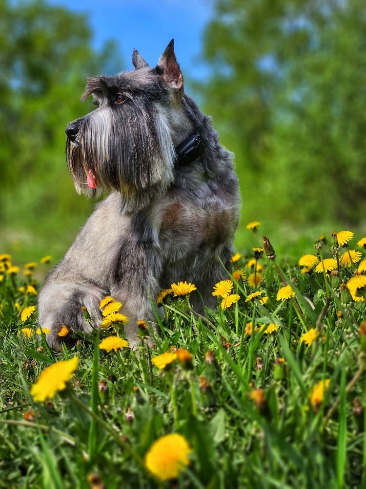 Photograph by Ирина Лучинская