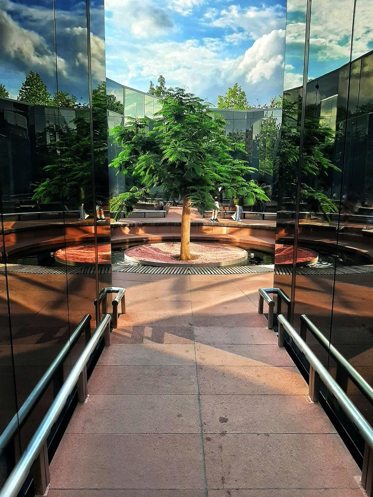 Photograph by Alexander Post61