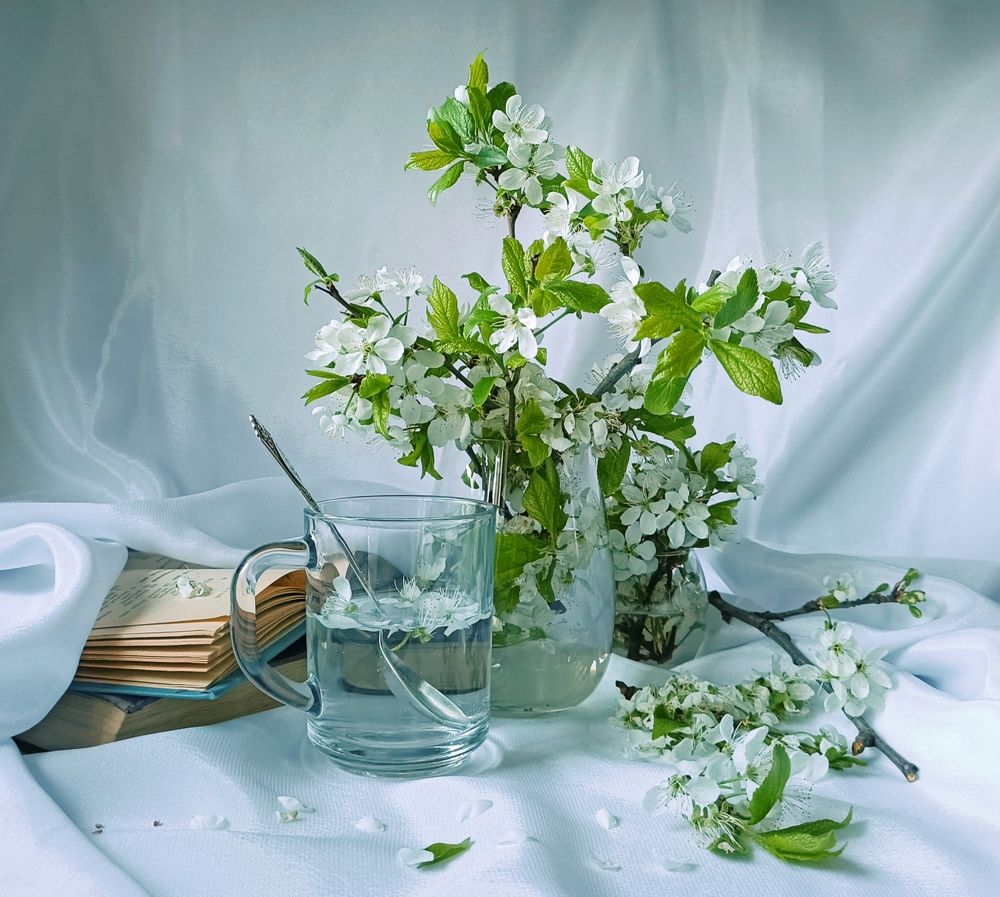 Фотография автора Татьяна Лукашева