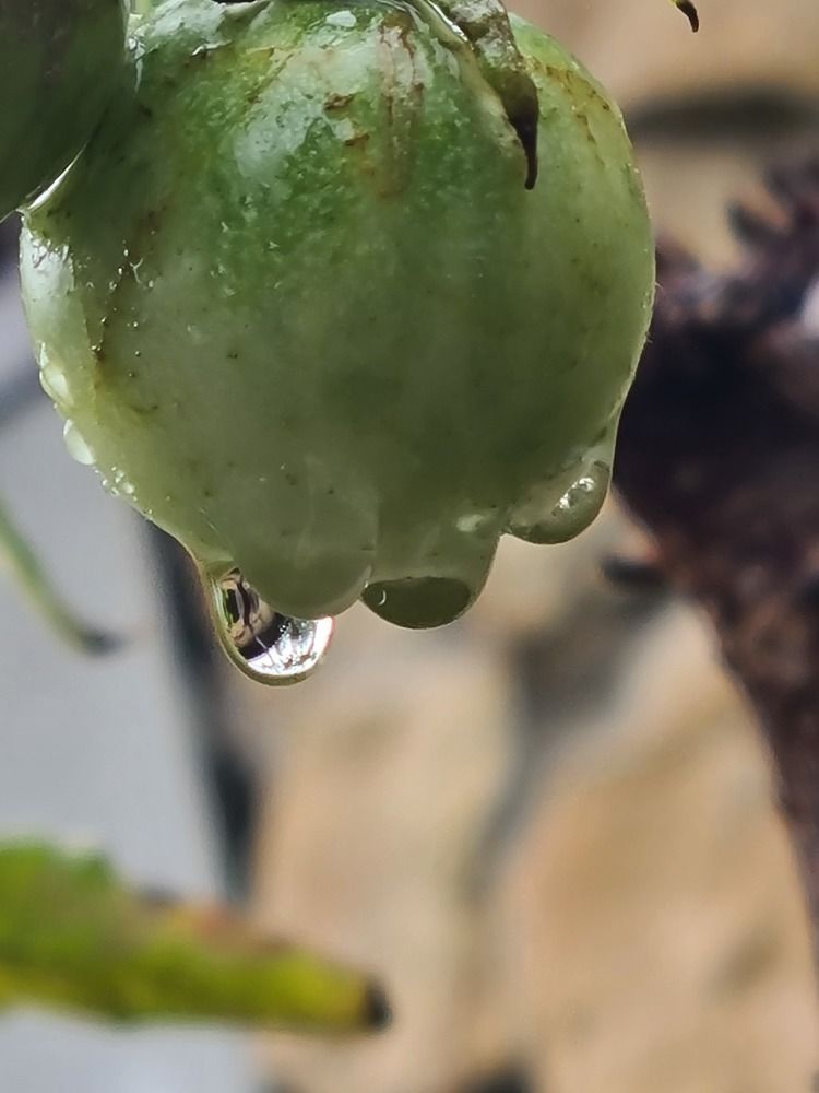 Photograph by Наталья Каплина