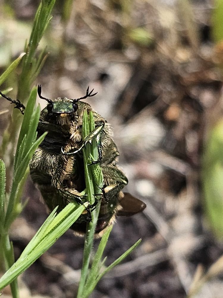 Photograph by Наталья Каплина