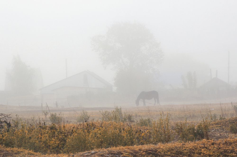 Photograph by Vitaliy Saposhnikov