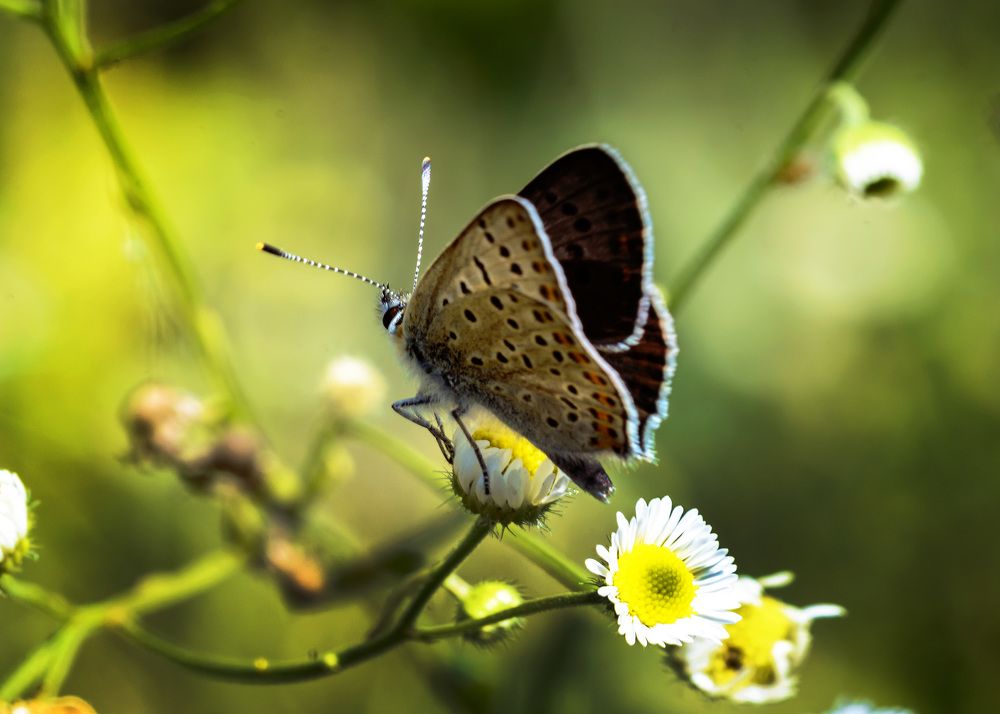 Photograph by Valery Pegushev