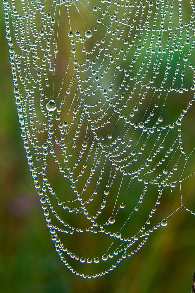 Photograph by Юрий Спасенников