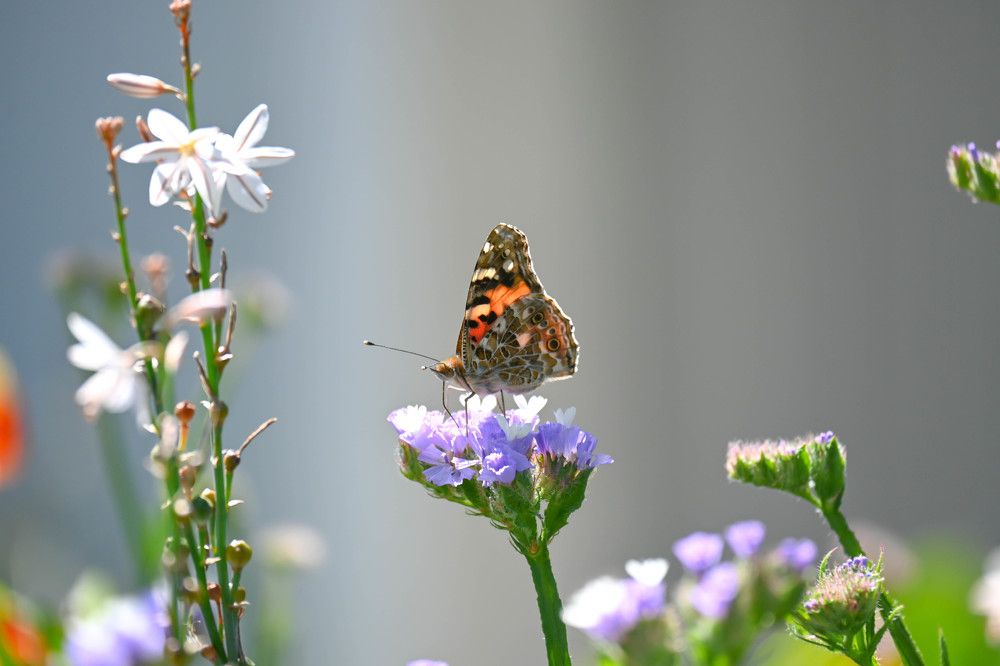 Photograph by Odysseas Christofides