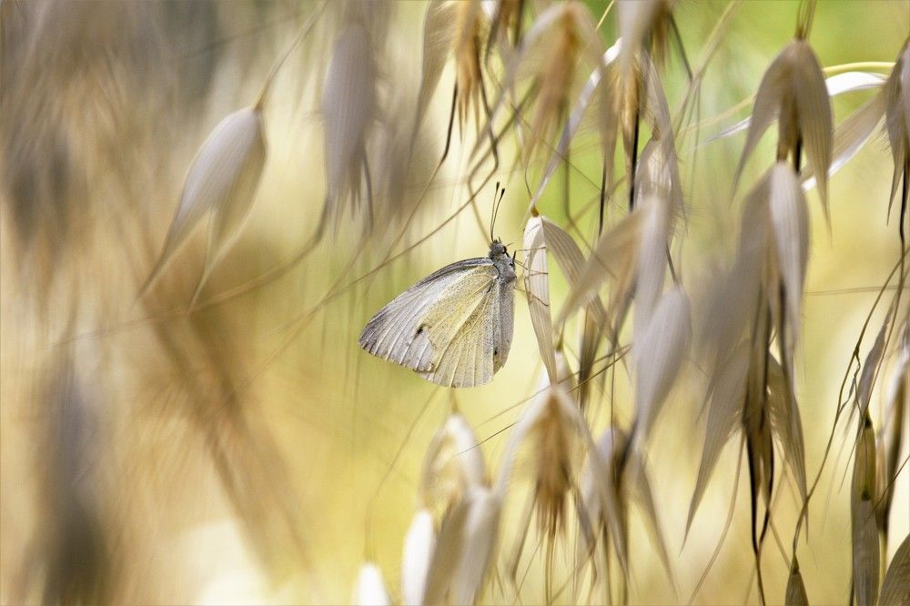 Photograph by Odysseas Christofides