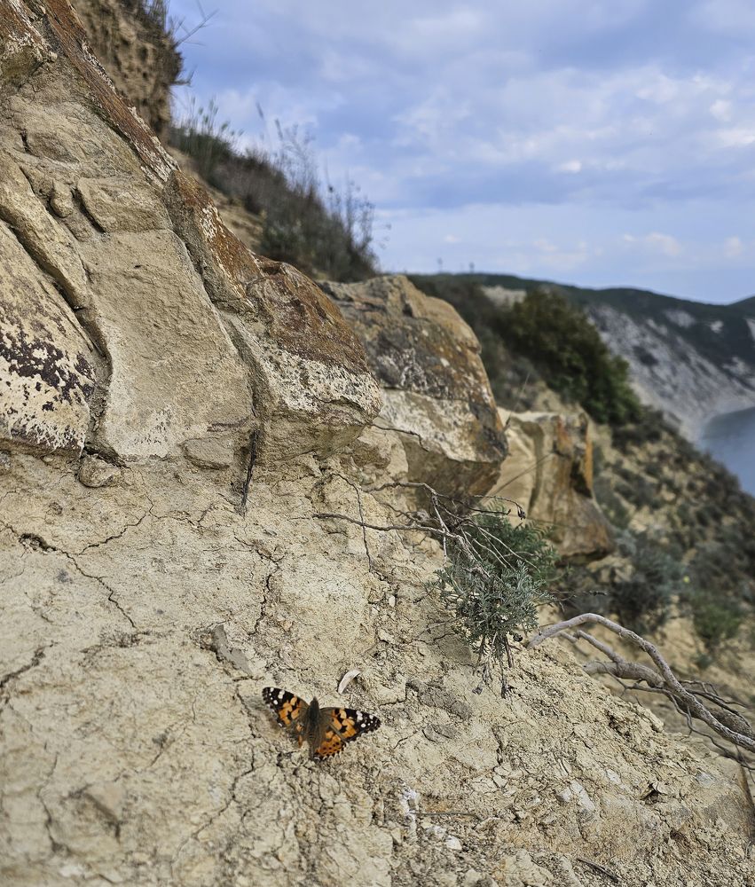Photograph by Наталья Каплина